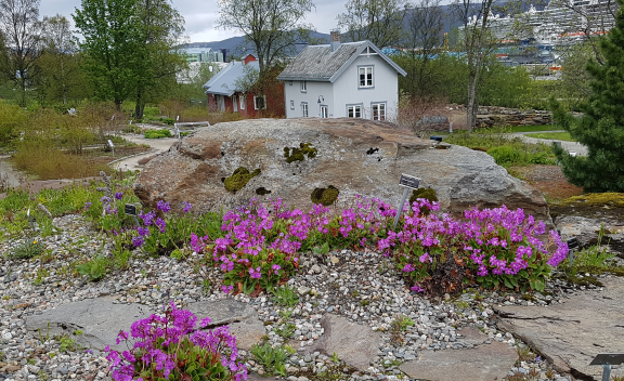 Arctic Alpine Botanic Garden