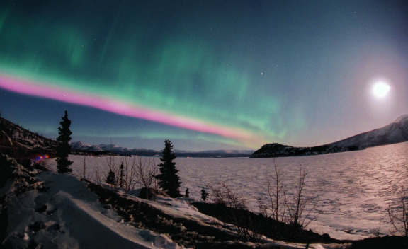Bifrost