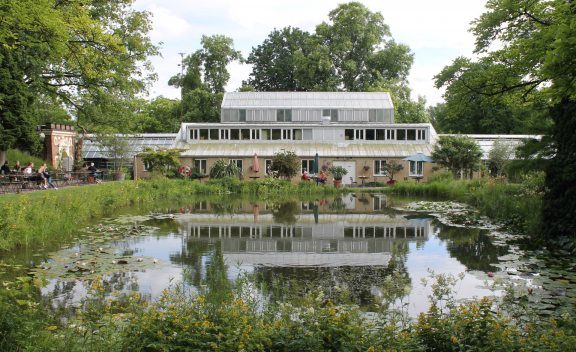 The Botanical Garden