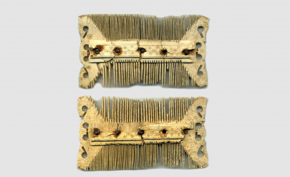 Antler comb