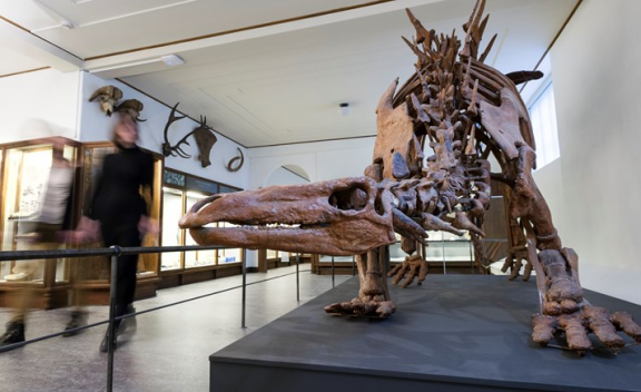 The Gothenburg Natural History Museum