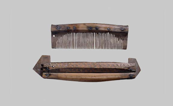 Comb-case
