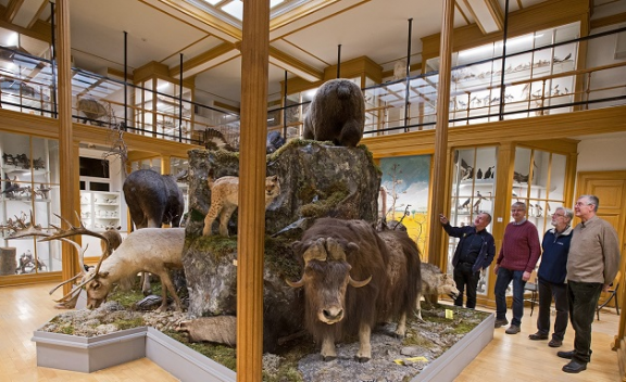 The Biological Museum, Orebro