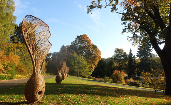 Botanical Garden (Oslo)