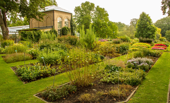 Botaniska tradgarden (Lund)