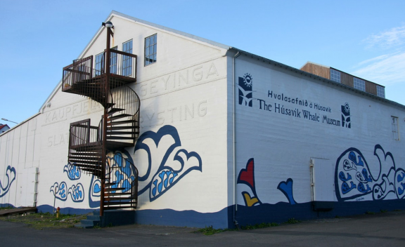 Husavik Whale Museum