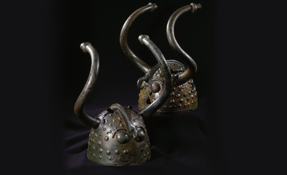 Vekso Helmets