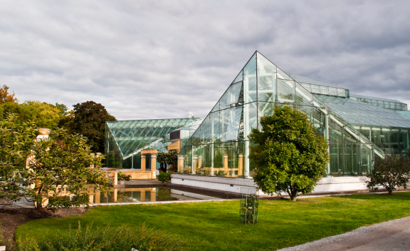 Bergian Garden