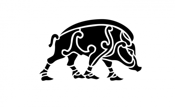 Boars