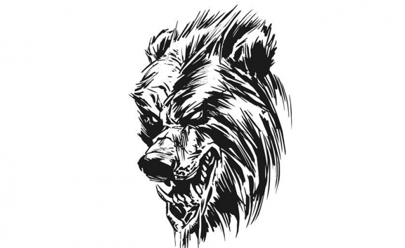 Bears