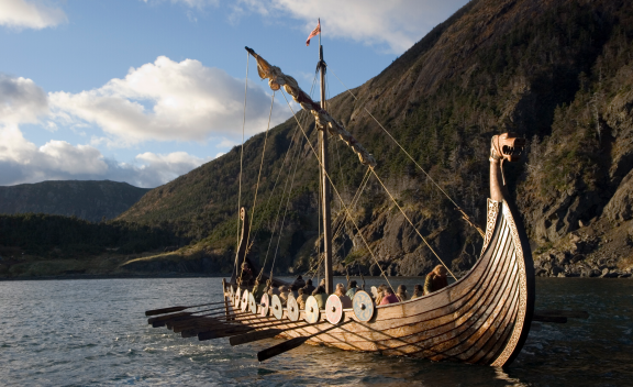 Viking ships
