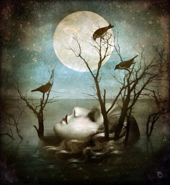 Dreams