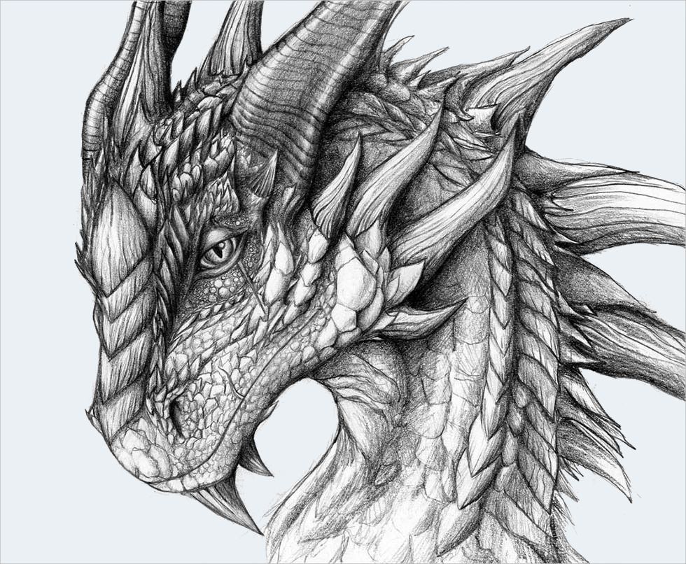 Dragons