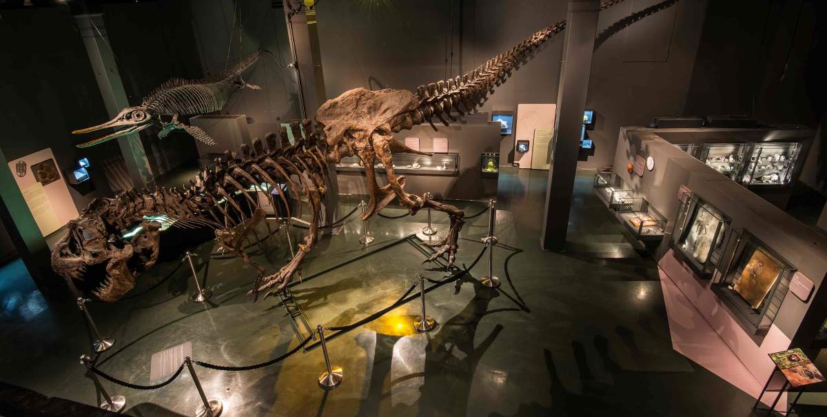 Natural History Museum (Oslo)