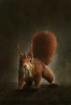 Ratatoskr